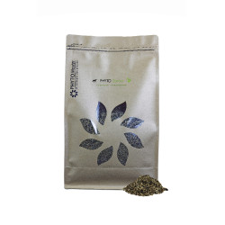 PHYTO SENIOR