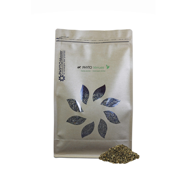 PHYTO WRATTEN
