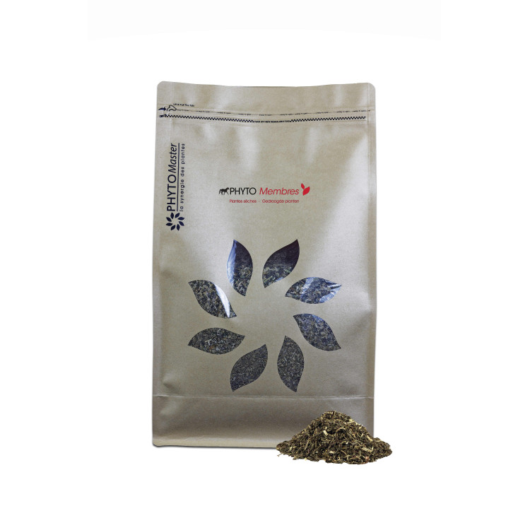 Phyto Leden Phyto Master