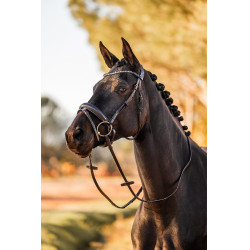 Anatomisch hoofdstel Horze Lockhart Zwart
