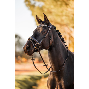 Anatomisch hoofdstel Horze Lockhart Zwart