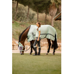 Vliegendeken Horze Paso Fino met UV-bescherming Groene beek Vliegendeken Horze Paso Fino met UV-bescherming Groene beek