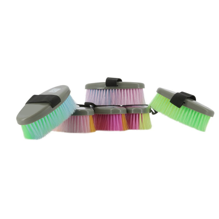 Hippotonic borstel multicolor