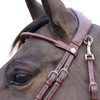 Bridon Vlaggen & Beker Madrid Bruin