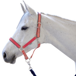 Set halster en lijn Varna Flags & Cup Taupe