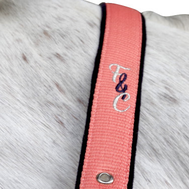 Set halster en lijn Varna Flags & Cup Taupe