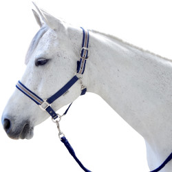 Set halster en lijn Doulovo Flags & Cup