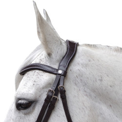 Bridon Canter Baloubet Bruin