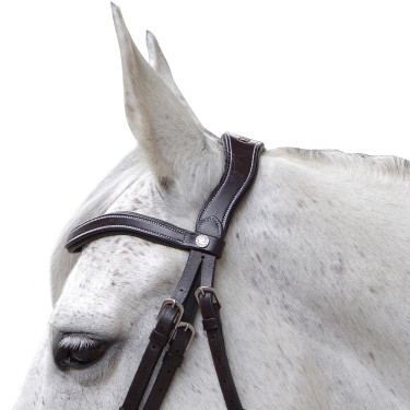 Bridon Canter Baloubet Bruin