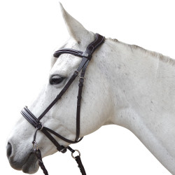 Bridon Canter bitless Evolution Bridon Canter bitless Evolution