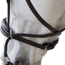 Bridon Canter bitless Evolution Bridon Canter bitless Evolution