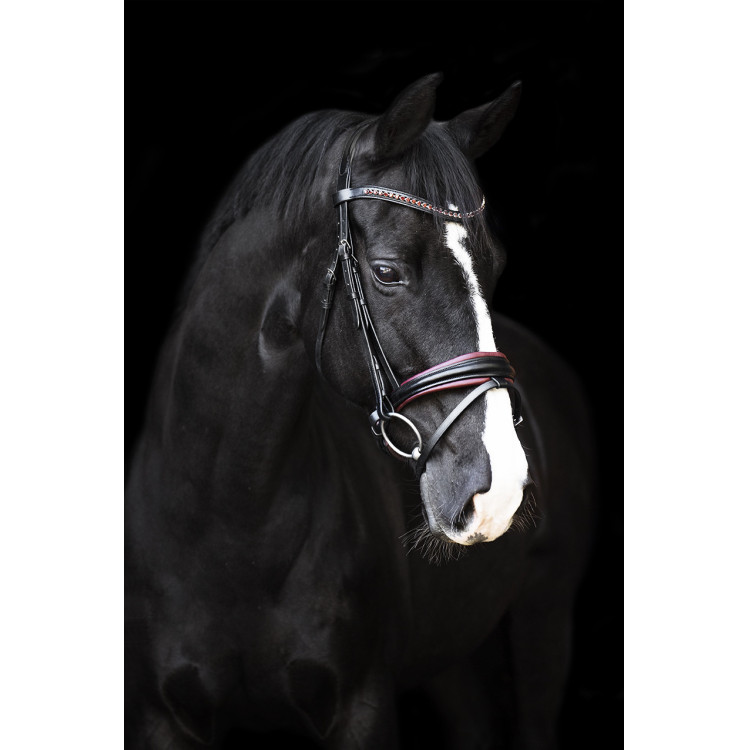 Bridon Impérial Riding Fria Bridon Impérial Riding Fria