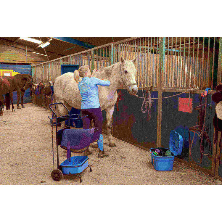 Rijdende Trolley Gm en Kist Box Pro Xl La Gée Rijdende Trolley Gm en Kist Box Pro Xl La Gée