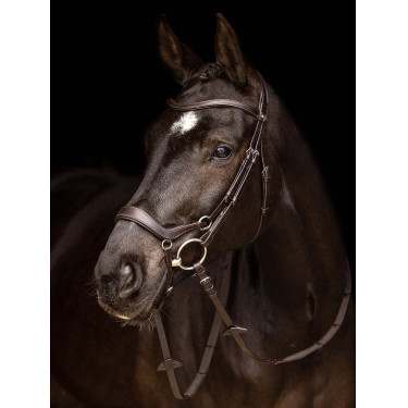 Bridon LeMieux Arika Duitse neusriem Bruin / zilver