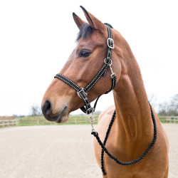 Halster en longe Cooper Horze Supreme