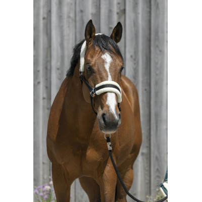 Halster Riding World synthetische schapenvacht Zwart