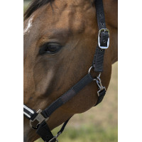 Halster Equithème Nylon Chevron Zwart