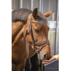 Bridon Pénélope Harmonie Havana Bruin