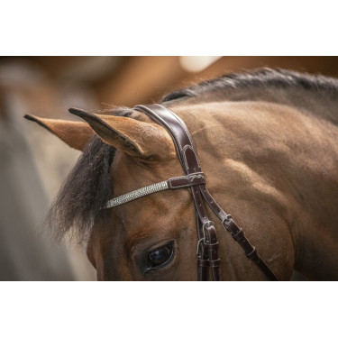 Bridon Pénélope Harmonie Havana Bruin