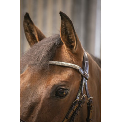 Bridon Pénélope Harmonie Havana Bruin