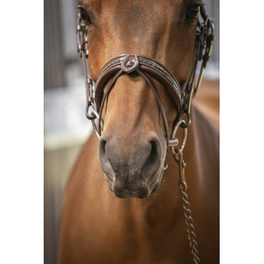 Bridon Pénélope Harmonie Havana Bruin