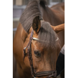 Bridon Pénélope Harmonie Havana Bruin