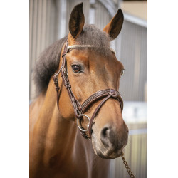 Bridon Pénélope Harmonie Havana Bruin