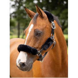 Halsterhoes LeMieux Simuwool Zwart Halsterhoes LeMieux Simuwool Zwart