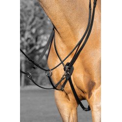 Martingaal met ringen Kudos LeMieux Martingaal met ringen Kudos LeMieux