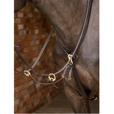 Martingaal met ringen Kudos LeMieux Bruin / messing