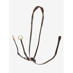 Martingaal met ringen Kudos LeMieux Havana / messing Bruin
