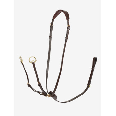 Martingaal met ringen Kudos LeMieux Havana / messing Bruin