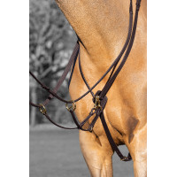 Martingaal met ringen Kudos LeMieux Zwart / zilver