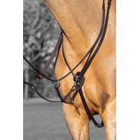 Martingaal met ringen Kudos LeMieux Havanna / zilver Bruin