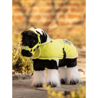 Mini Poney LeMieux Razzle Mini Poney LeMieux Razzle