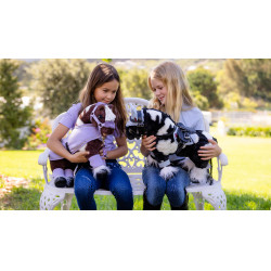 Mini Pony LeMieux Razzle Mini Pony LeMieux Razzle