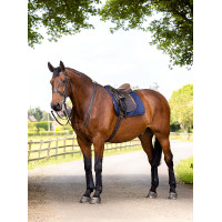 Werkkleed LeMieux Dressuur Marineblauw