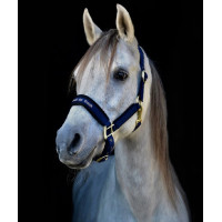 Halster Werano Back On Track Zwart Halster Werano Back On Track Zwart