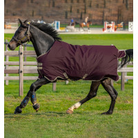 Horseware Amigo Hero Ripstop Lite 0g deken Vijg