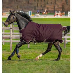 Horseware Amigo Hero Ripstop Lite 0g deken