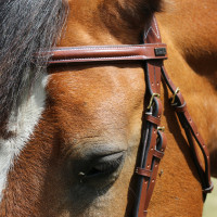 Bridon Kessel T van T kopstuk drievoudig gecombineerde neusriem Donker Havana Bruin