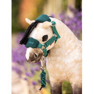 Mini Pony LeMieux Droom Mini Pony LeMieux Droom