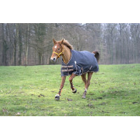 Equithème Tyrex 1200 D deken / Transparant Equithème Tyrex 1200 D deken / Transparant