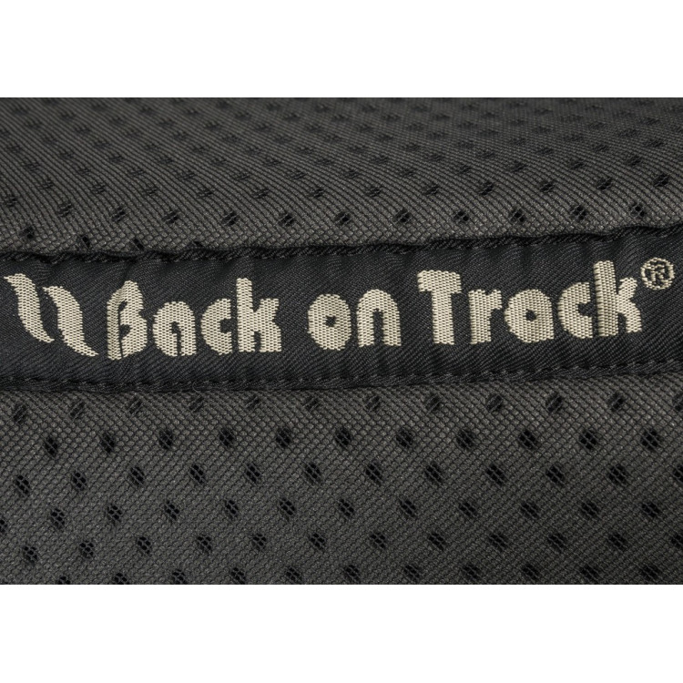 Schokdemper Back on Track® Aurora Schokdemper Back on Track® Aurora