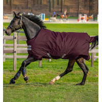 Horseware Amigo Hero Ripstop Turnout deken met fleecevoering 50g Vijg / vijg Bordeaux Horseware Amigo Hero Ripstop Turnout deken met fleecevoering 50g Vijg / vijg Bordeaux