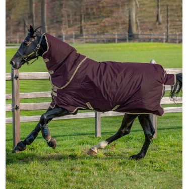 Horseware Amigo Hero Ripstop Plus deken met halsdeel 0g Vijg / marineblauw Horseware Amigo Hero Ripstop Plus deken met halsdeel 0g Vijg / marineblauw