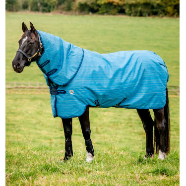 Horseware Amigo Hero 900 Revive Plus 50g Deken Horseware Amigo Hero 900 Revive Plus 50g Deken