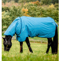 Horseware Amigo Hero 900 Revive Plus 200g deken Horseware Amigo Hero 900 Revive Plus 200g deken