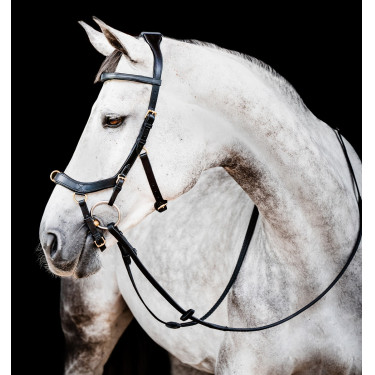 Bridon Horseware Micklem 2 Multi Zwart Bridon Horseware Micklem 2 Multi Zwart