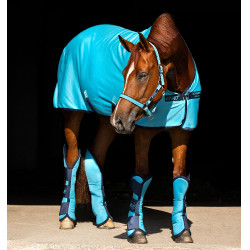 Transportbeschermers Horseware Amigo Ripstop